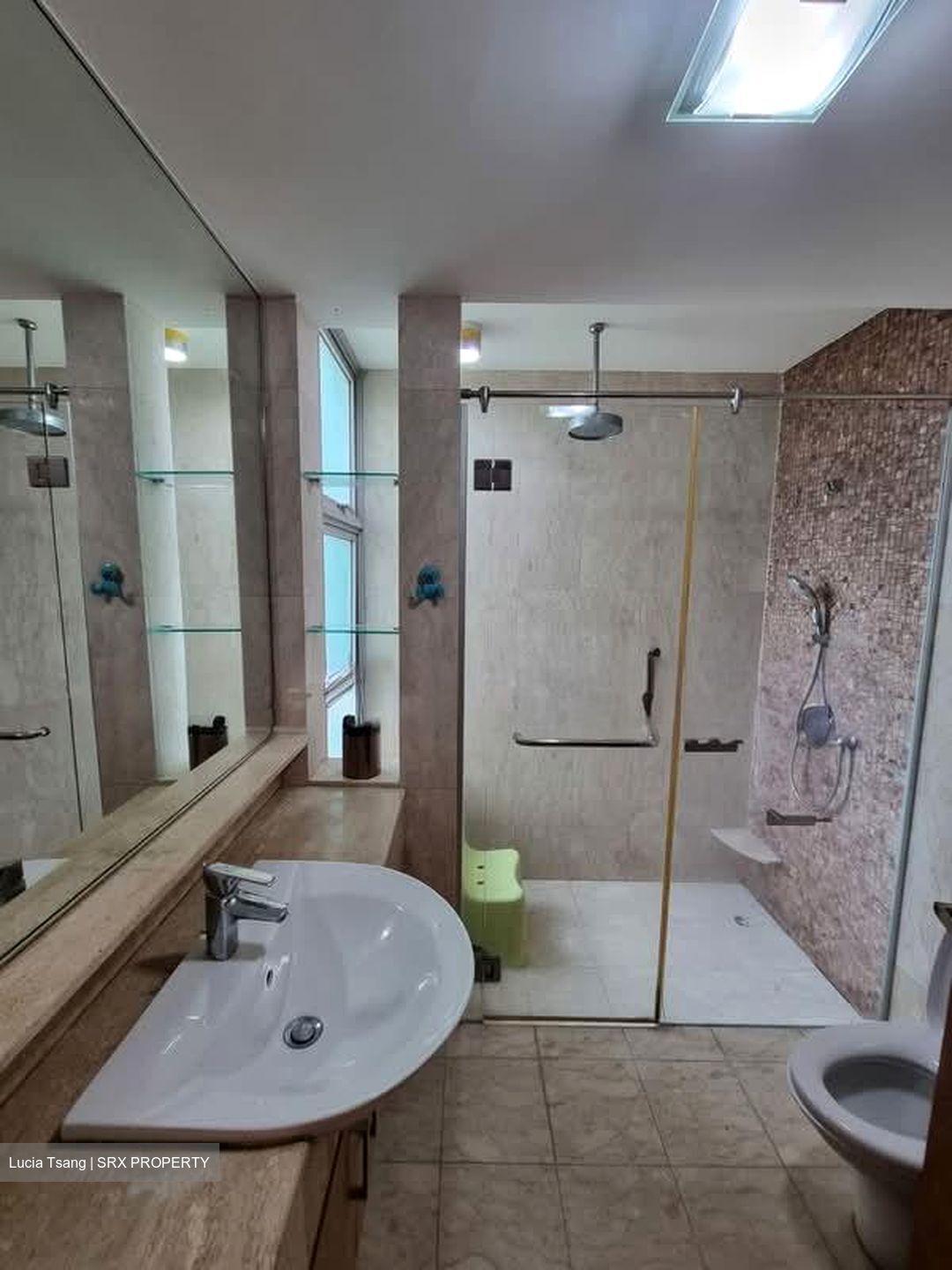 The Raintree (D21), Condominium #597165041
